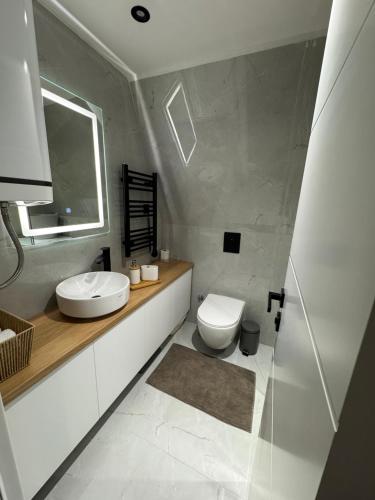 a bathroom with a white toilet and a sink at Bjelašnica Frame in Bjelašnica