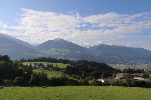 a group of horses grazing in a field with mountains at Erholung am Lehmooserhof in Gnadenwald