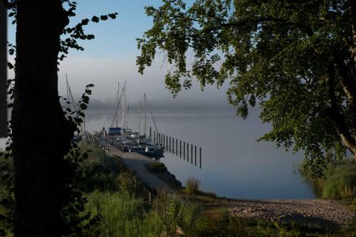 a group of boats docked at a dock on a lake at Kleines Fährhaus in Ulsnis