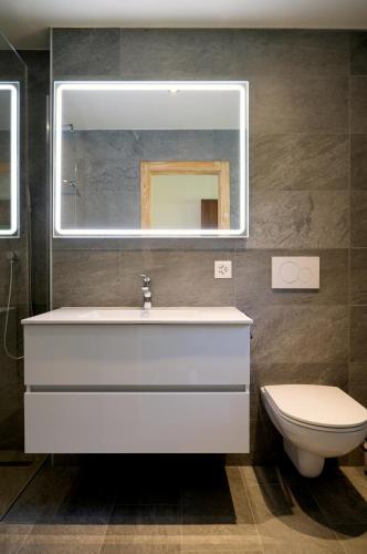 a bathroom with a sink and a mirror and a toilet at 3,5 Zimmer Attikawohnung mit Traumaussicht in Arbaz