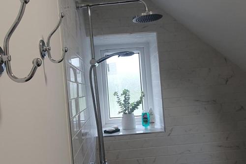 a shower in a bathroom with a plant in a window at Apartment-Sleeps2-Parking-Garden-Patio in Castleisland