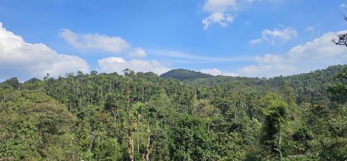 Fotografie z fotogalerie ubytování Vintara Homestay v destinaci Madikeri