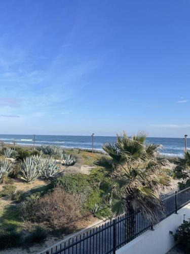 une vue sur une plage avec des palmiers et l'océan dans l'établissement NAUTILIA 201 - Luxe - 2 personnes, au Cap d'Agde