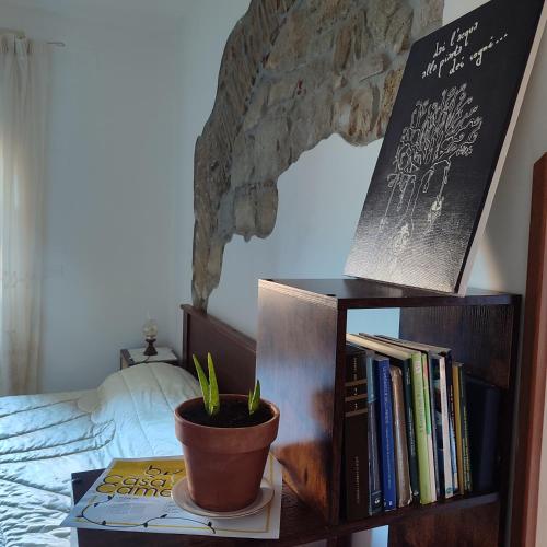 a book shelf with a plant on it next to a bed at Casa Camella in Perdifumo