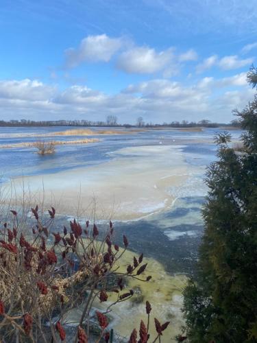 a view of a large body of water at Biebrzańska Przystań 3 in Goniadz