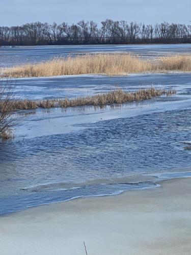 a view of a river with snow and grass at Biebrzańska Przystań 3 in Goniadz