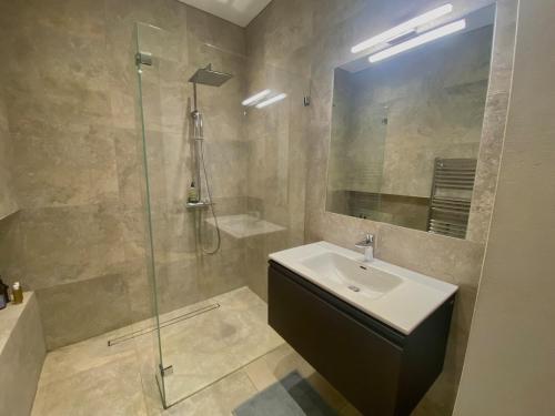 a bathroom with a sink and a glass shower at Urban Hotspot Apartment in Vienna