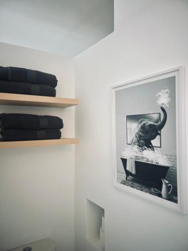 une photo d'un éléphant dans un bain sur un mur dans l'établissement Maison d'hôtes et appartement Villa Palma, à Montferrier-sur-Lez