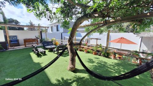 un cortile con un albero e un'altalena di Galápagos Volcanic a Puerto Ayora