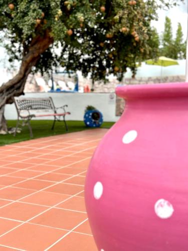 a pink vase sitting in front of a bench at Hakuna Matata in Cano