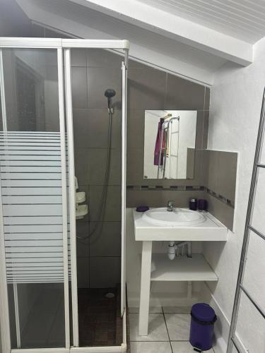 a bathroom with a sink and a shower with a mirror at Gwada Rêves in Sainte-Anne