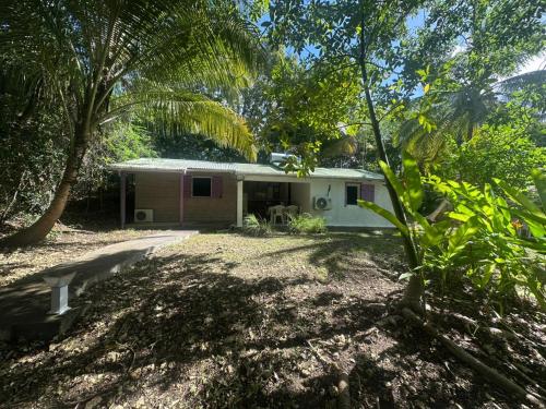 a small house in the middle of a forest at Gwada Rêves in Sainte-Anne