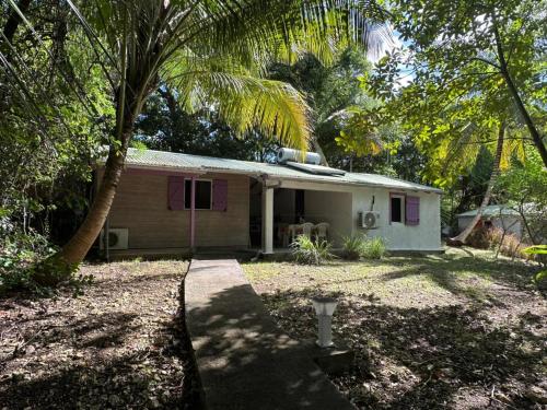 a small house with a palm tree in front of it at Gwada Rêves in Sainte-Anne