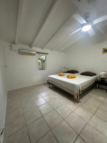 a bedroom with a bed in a white room at Gwada Rêves in Sainte-Anne