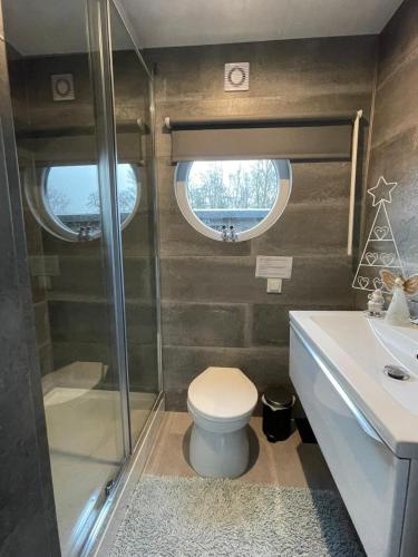 a bathroom with a toilet and a shower and a sink at The Blue Houseboat in Zwartsluis