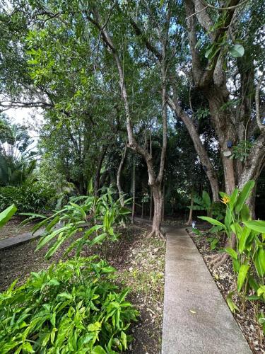 a path in a park with trees and plants at Gwada Rêves in Sainte-Anne