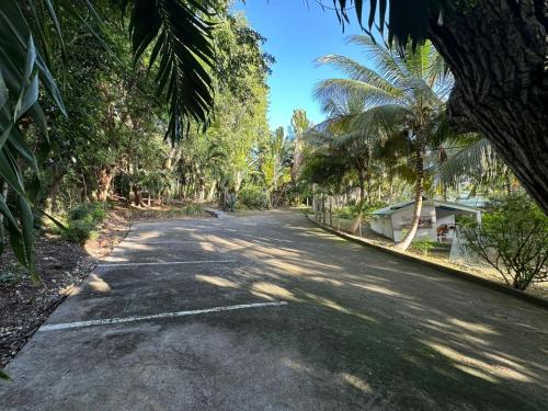 an empty road with palm trees on either side at Gwada Rêves in Sainte-Anne