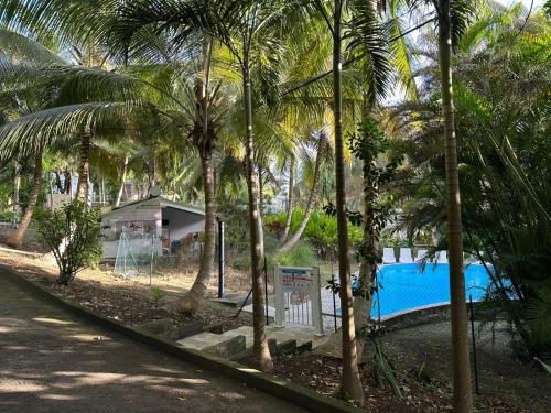a resort with a swimming pool and palm trees at Gwada Rêves in Sainte-Anne