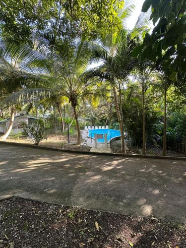 a blue picnic table in a park with palm trees at Gwada Rêves in Sainte-Anne