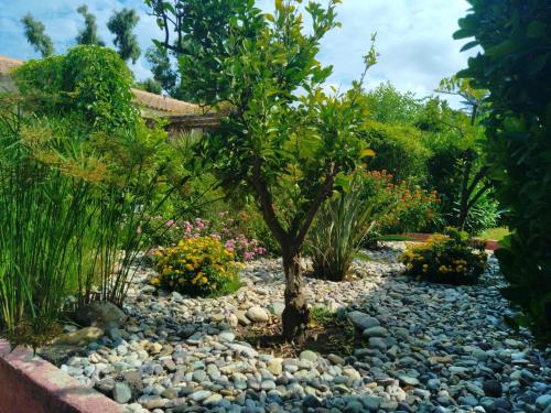 Giardino di Le Râteau Bavoir