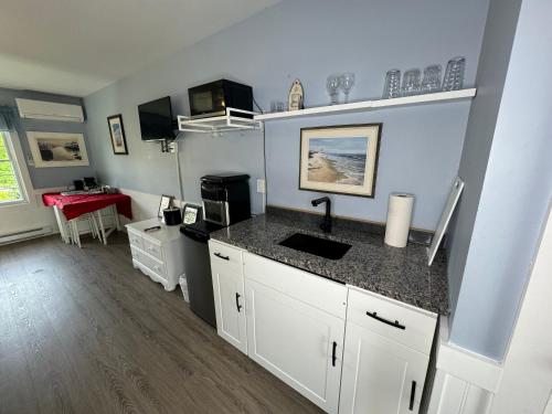 a kitchen with a sink and a counter top at Gingerbread House Inn - We Are Open - Winter, Spring, Summer and Fall in Wolfville