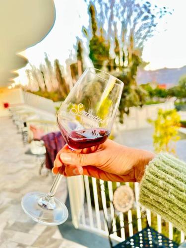 a person holding a glass of red wine at Vesuvio Inn Bed & Wine Experience in Boscotrecase