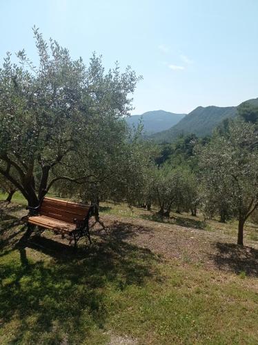 Φυσικό τοπίο κοντά σε αυτή η παραθεριστική κατοικία