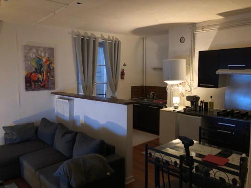 un salon avec un canapé et une cuisine dans l'établissement Appart Hotel Le Victor Hugo 2 G et sa pizza offerte, à Aurillac