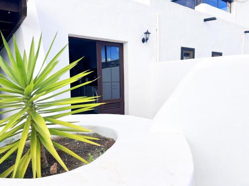 a house with a plant in front of a door at Studio El Tucan in Nazaret