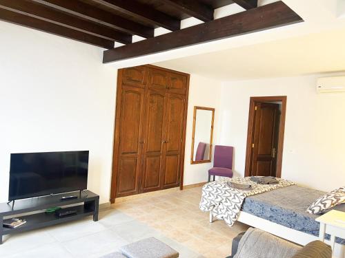 a living room with a bed and a flat screen tv at Studio El Tucan in Nazaret