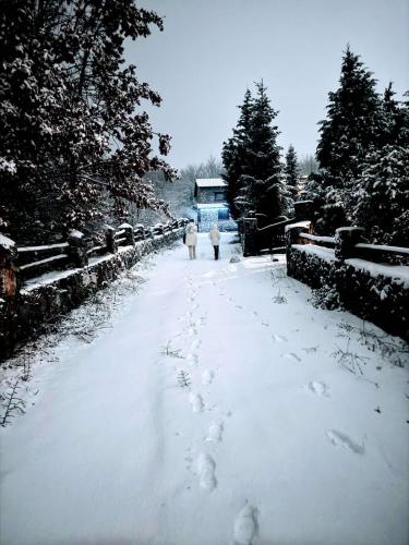 two people walking down a snow covered road at Forest House in Palaios Agios Athanasios