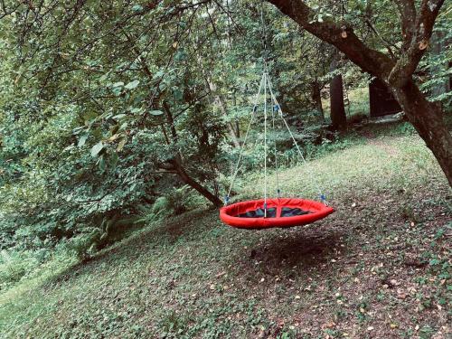 a red frisbee is hanging from a tree at Chata u starkého in Kováčová