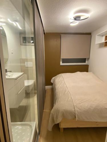 une petite chambre avec un lit et un lavabo dans l'établissement New! Le Corberon in Hypercentre avec Parking, à Colmar