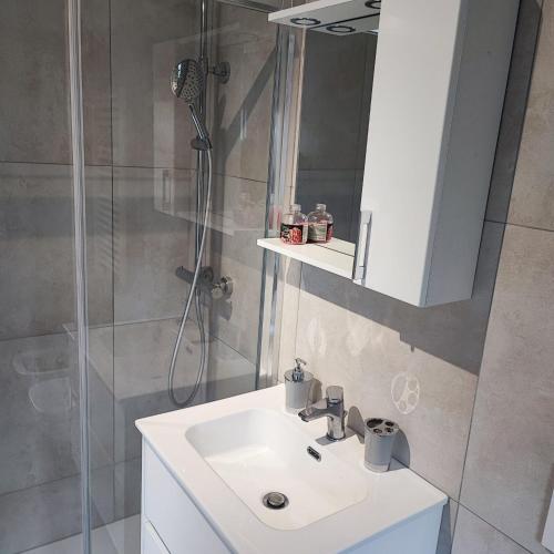 a bathroom with a sink and a shower at Tominettihome in Verbania