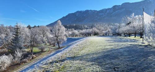 a snow covered road with trees and mountains in the background at Schlossberghof Marzoll in Bad Reichenhall
