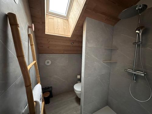 a small bathroom with a shower and a toilet at Chalet PLUME D'EAU - jacuzzi, piscine et pétanque in Gerbépal
