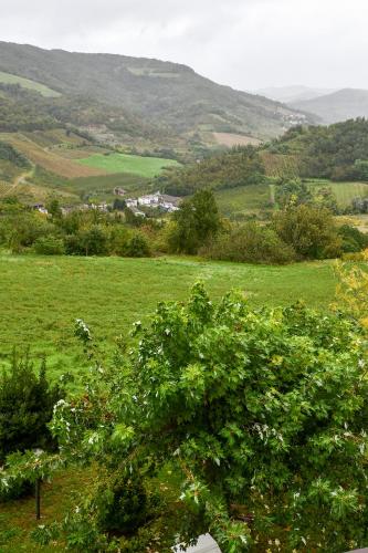 a green field with a tree in the foreground at CàGrande in Colombara