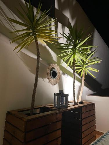 two palm trees sitting on top of a wooden chest at Golden Club- Eyes on Sea in Cabanas de Tavira