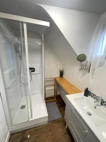 a bathroom with a shower and a sink at La Cigalienne in Treignac