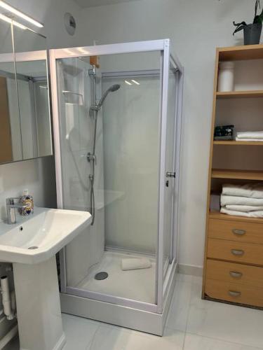 une salle de bain avec douche et lavabo dans l'établissement Cosy studio Disney, à Serris