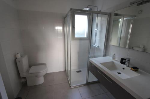 une salle de bain avec une douche, des toilettes et un lavabo dans l'établissement T2 centre-ville de Porto-Vecchio, à Porto-Vecchio