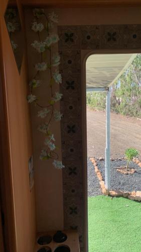Κήπος έξω από το Calima Glamping