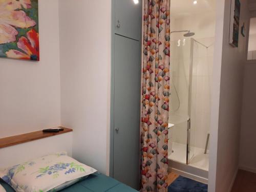 a bathroom with a shower and a bed with a pillow at LA GRANV'ILLAISE in Granville