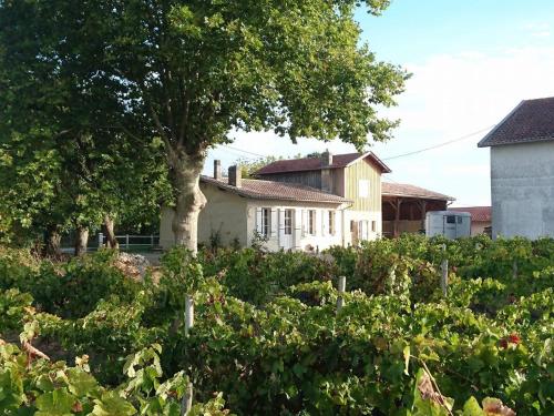 a white house with a tree in a garden at Gite de La Providence in Ludon-Médoc