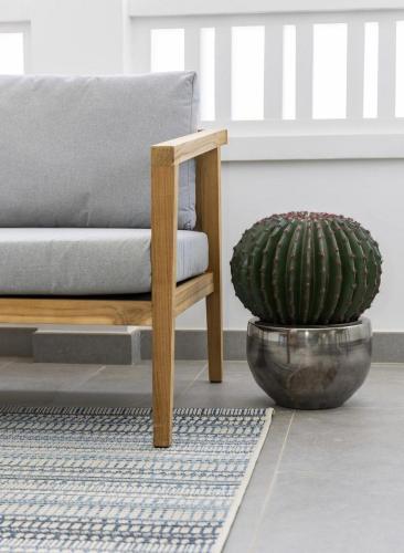 a couch and a plant in a living room at Casa Blue Marlin in Kralendijk