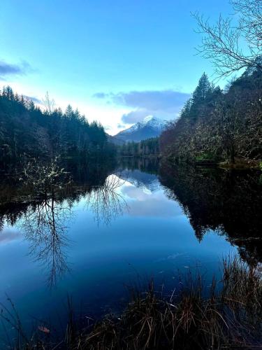 a view of a river in the middle of a forest at Sandpiper Caravan in Onich