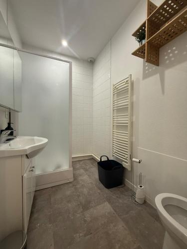 une salle de bain blanche avec un lavabo et des toilettes dans l'établissement Appartement cosy centre Lons Le Saunier, à Lons-le-Saunier