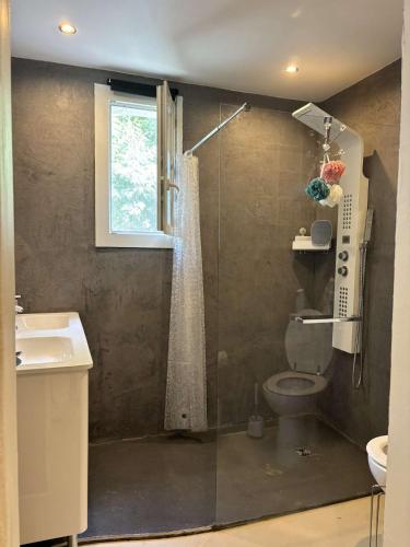 une salle de bain avec une douche, des toilettes et un lavabo dans l'établissement Villa du Parc de Vaugrenier, à Villeneuve-Loubet