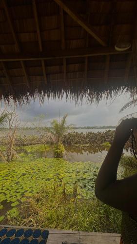 a person is looking out of a hut at a body of water at Glamping Lakeview Ouidah in Gakpé