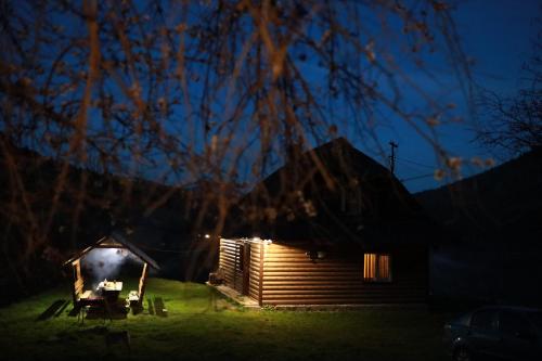 Billede fra billedgalleriet på Cottage Svitanok i Lopushnoye